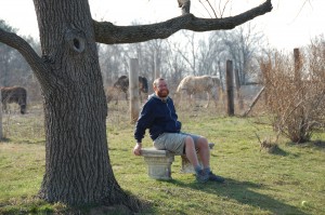 under-the-walnut-tree One of my favorite spots - under the Walnut Tree