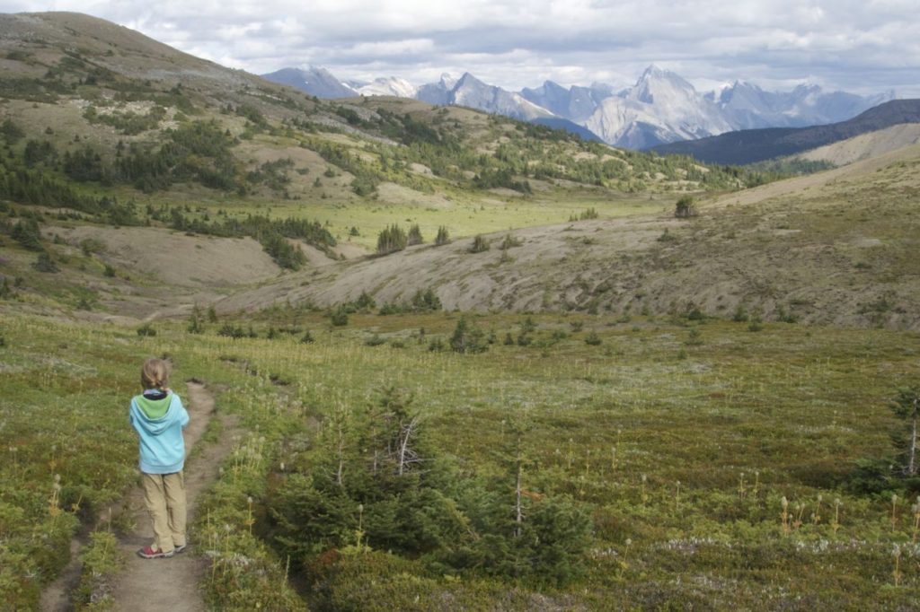 skyline trail jasper backpacking